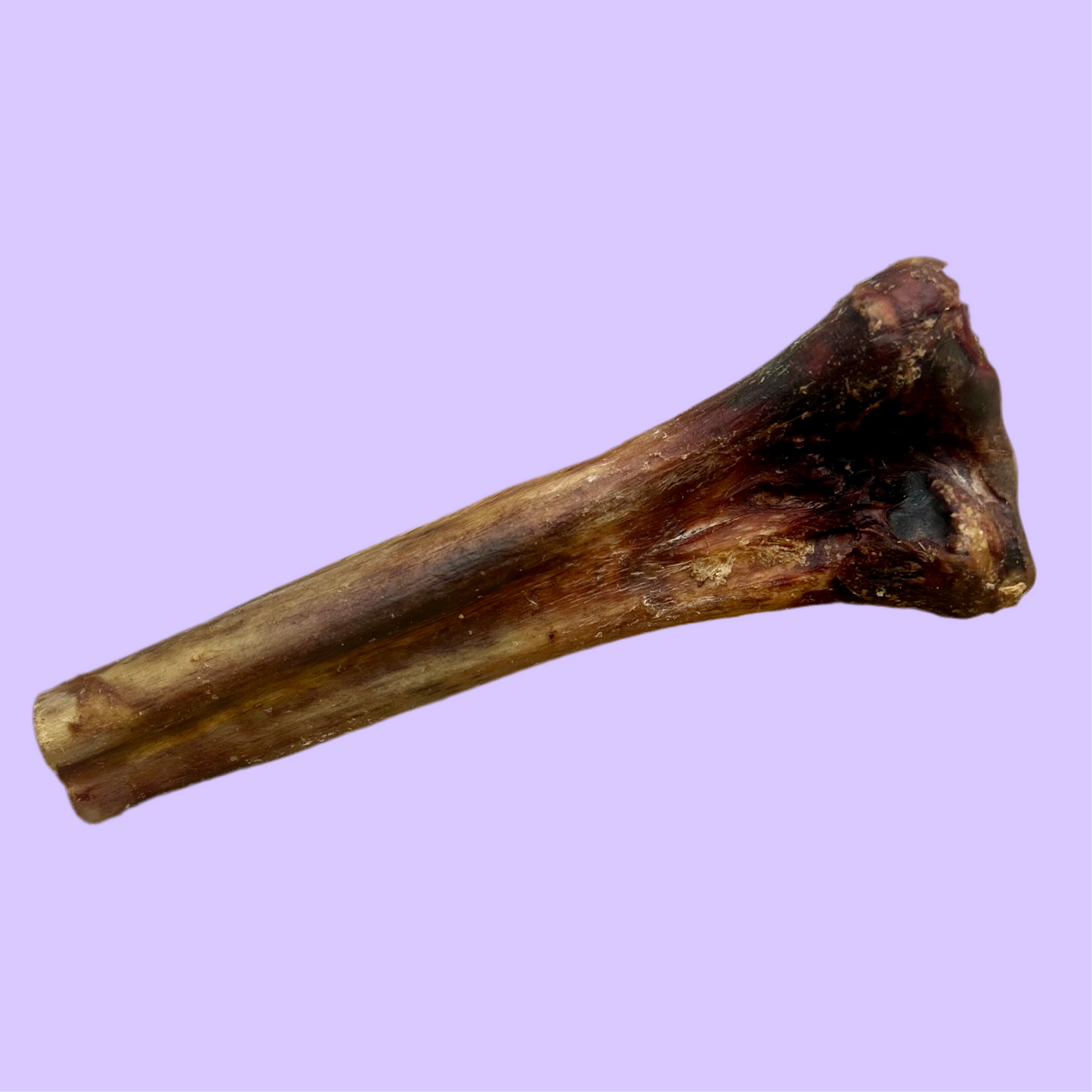 Ostrich Bone