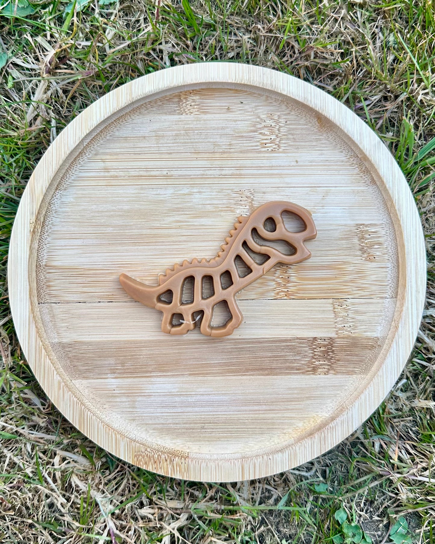 Dental Dino | Chicken & Peanut Butter