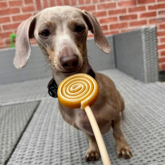SWIRLY POPS | RANDOMLY SELECTED