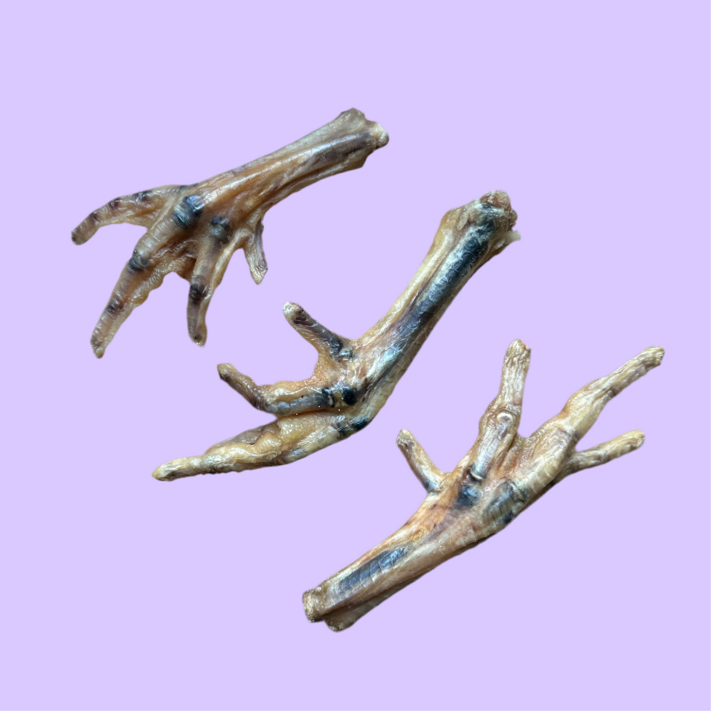 BULK | Chicken Feet | Natural
