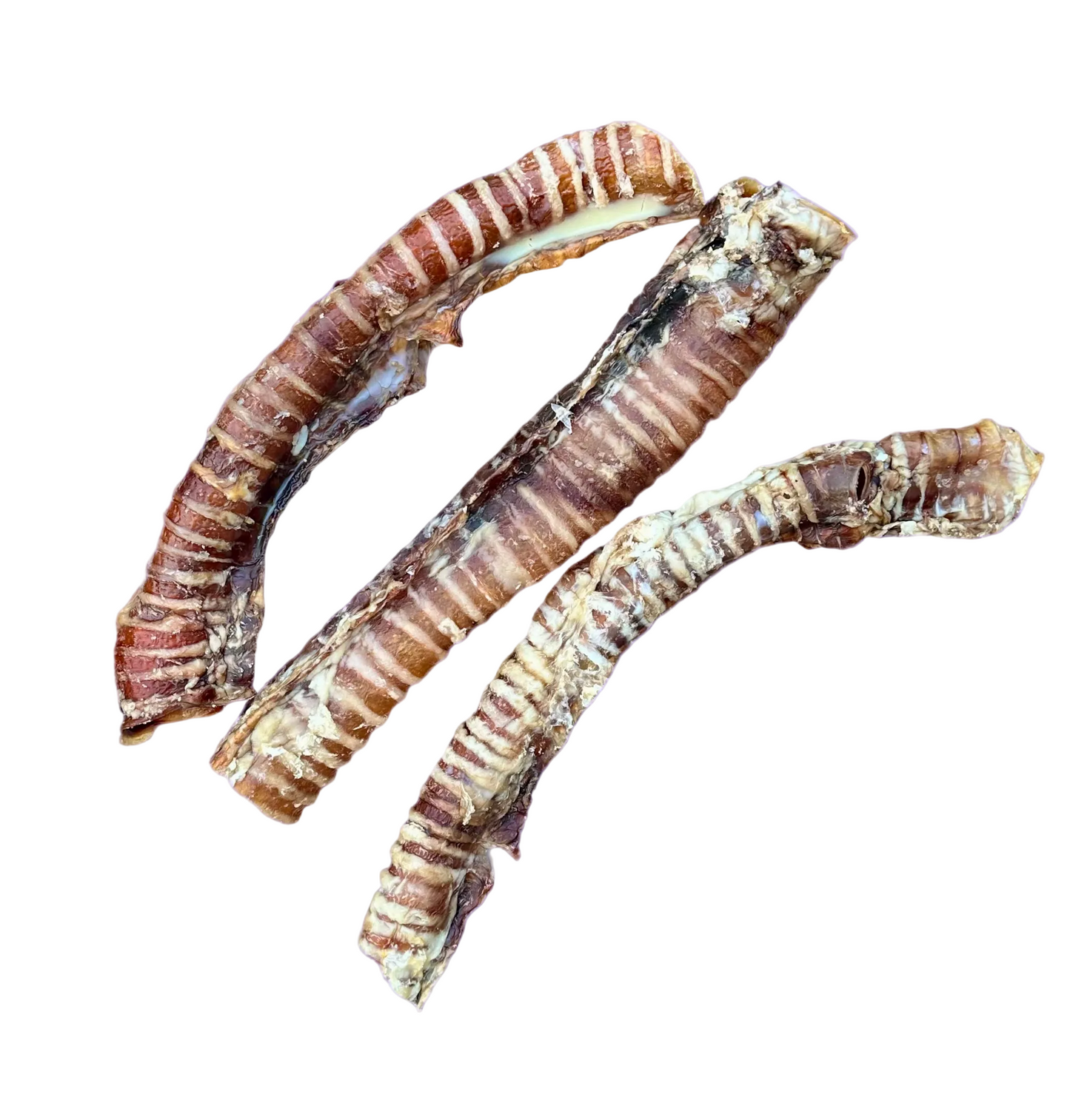 Beef Trachea | 30cm