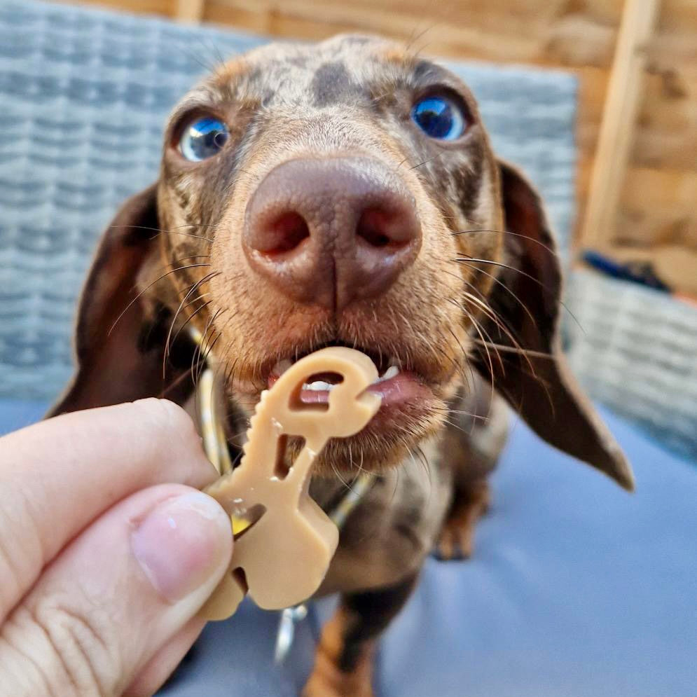 Diddy Dental Dinos | Chicken & Peanut Butter