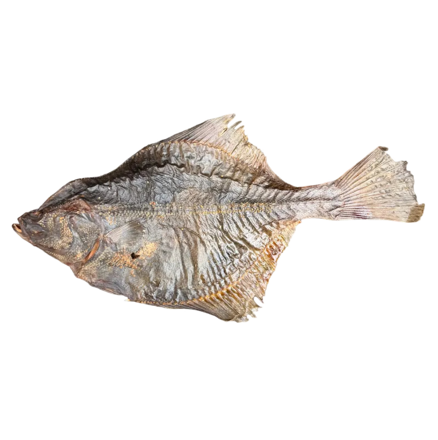 ANGRY FISH