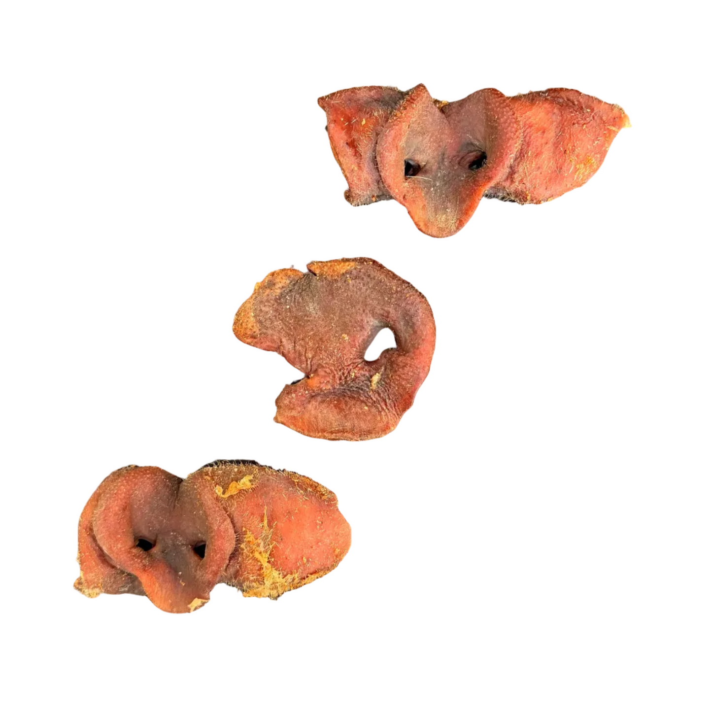 AIR DRIED PIG SNOUT