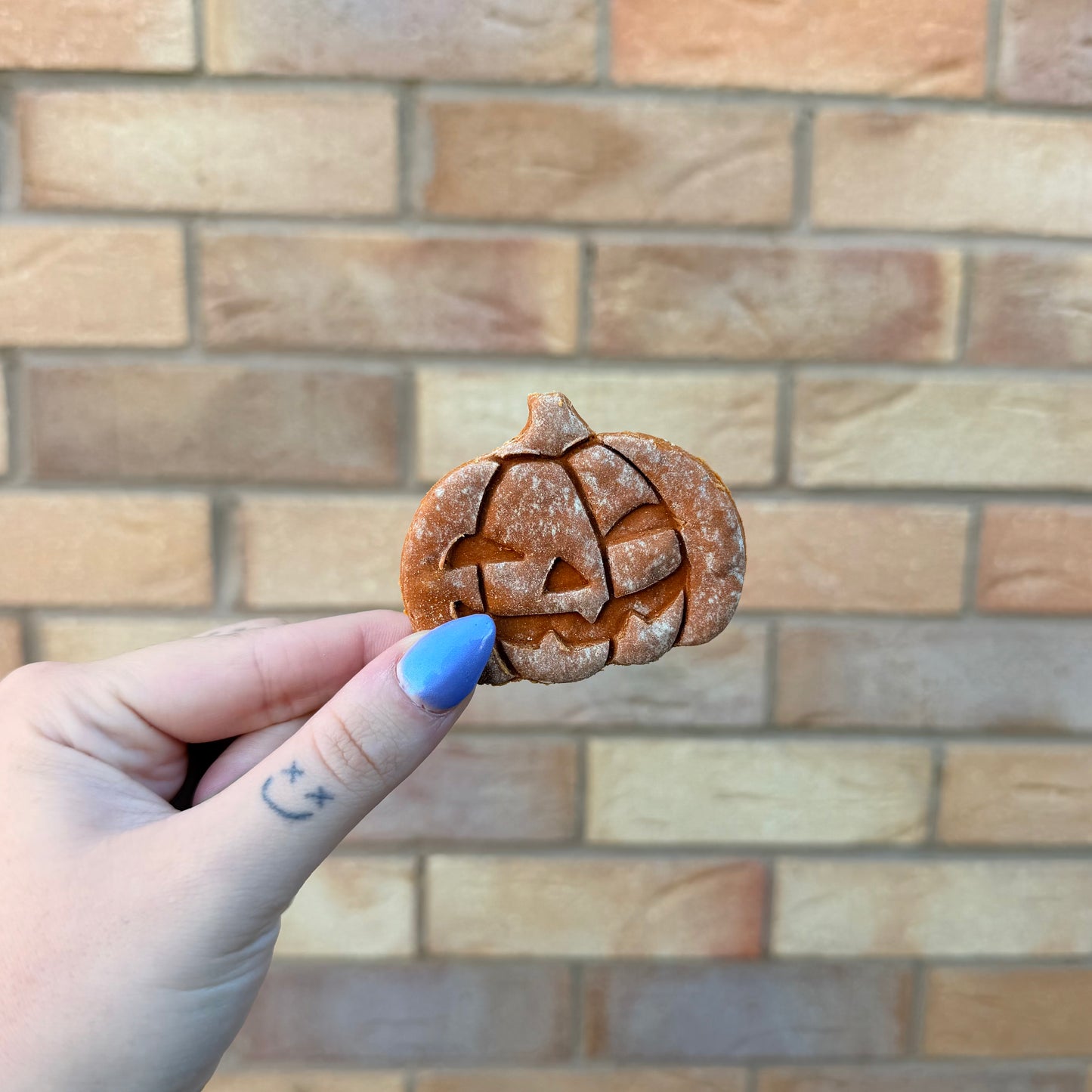 BUTTERNUT SQUASH PUMPKIN BISCUIT