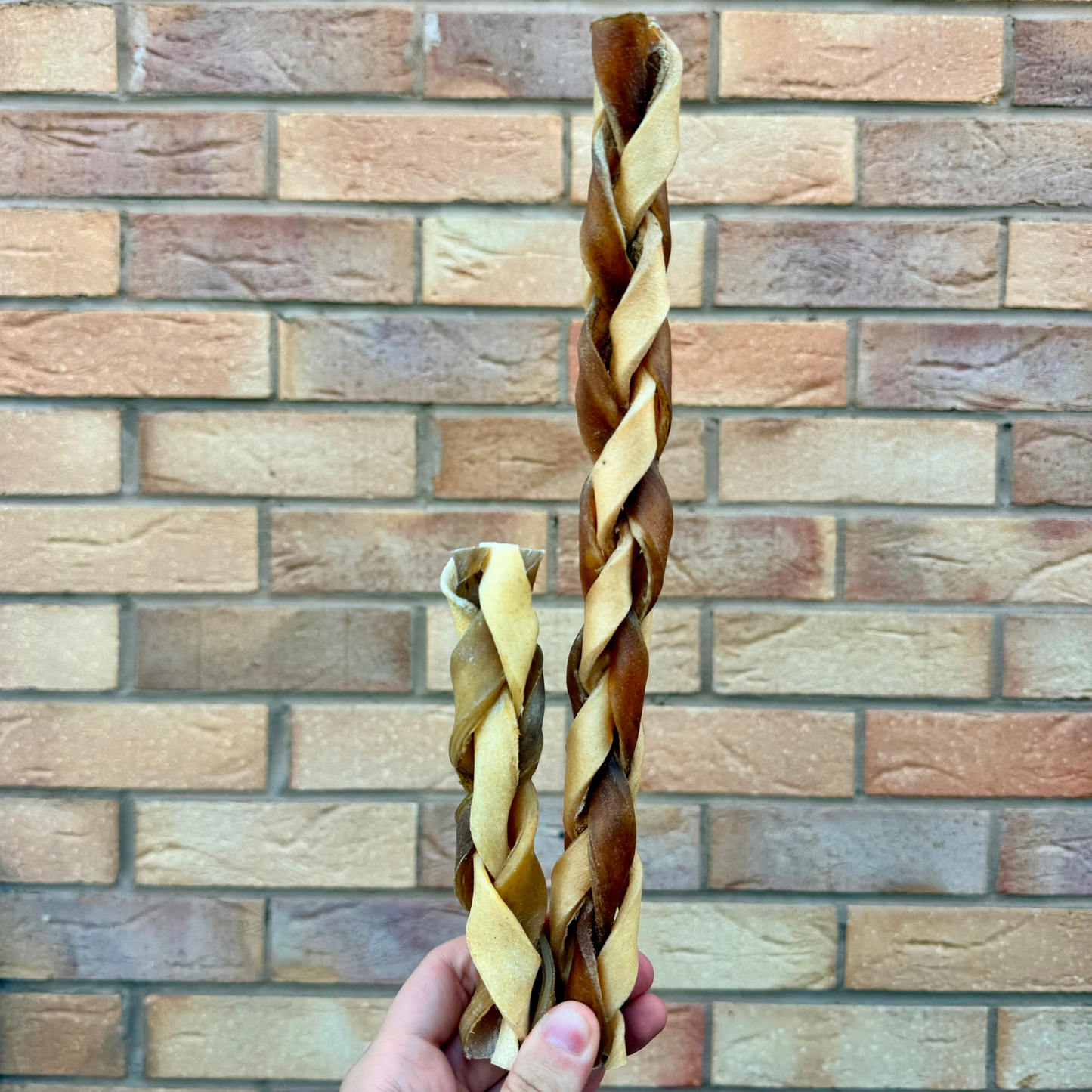 BEEF & CAMEL BRAIDED ROLL | 2 SIZES
