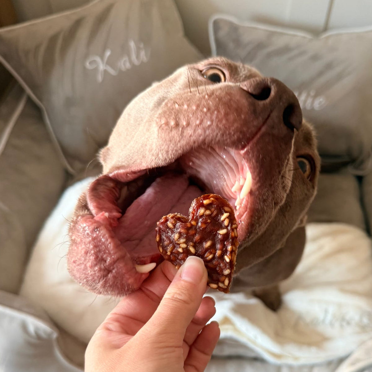 DUCK & RICE HEART