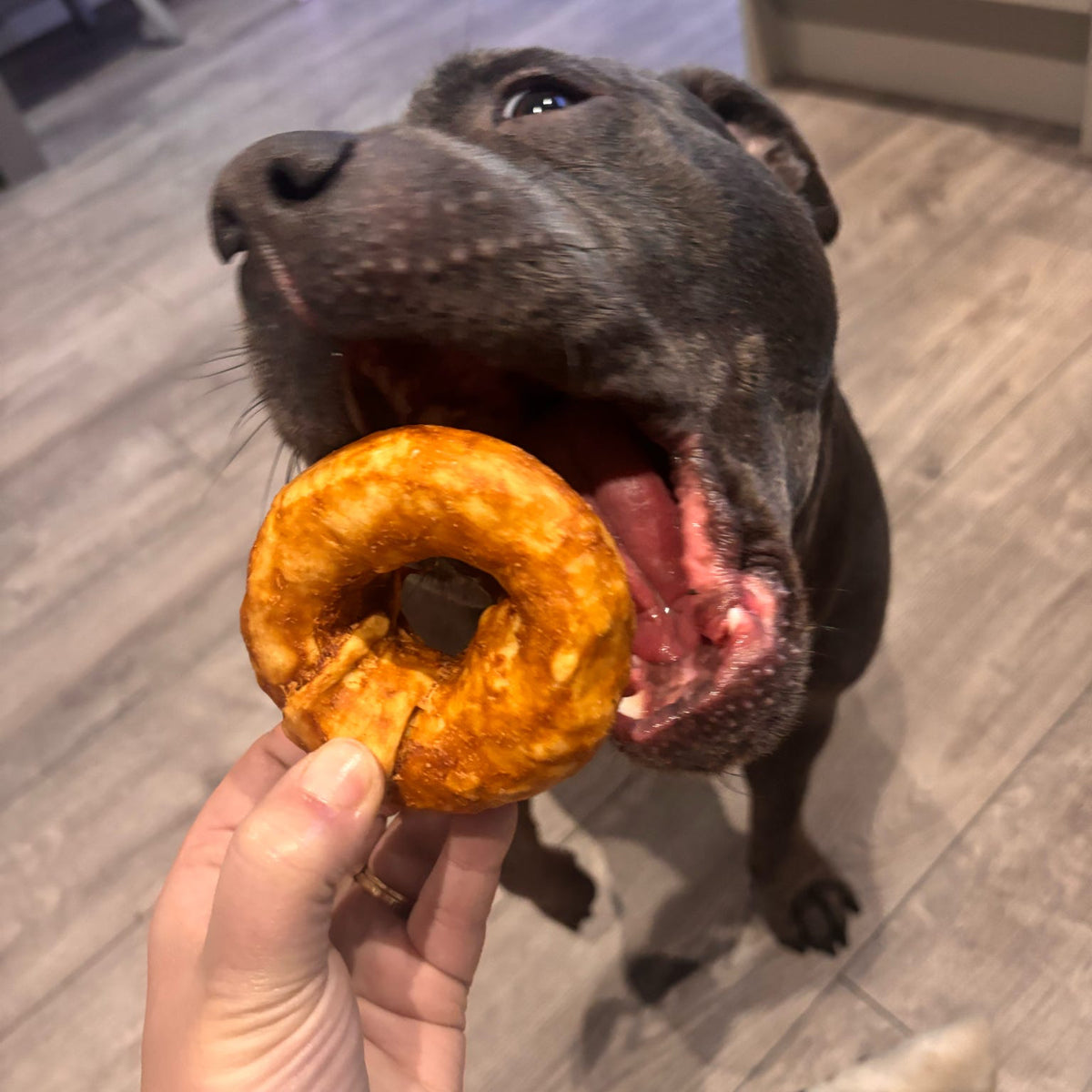 BUFFALO COLLAGEN DONUT