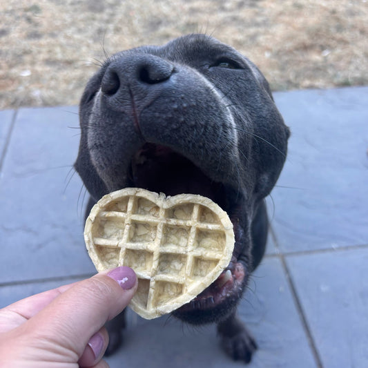BUFFALO COLLAGEN HEART WAFFLE | 2 SIZES