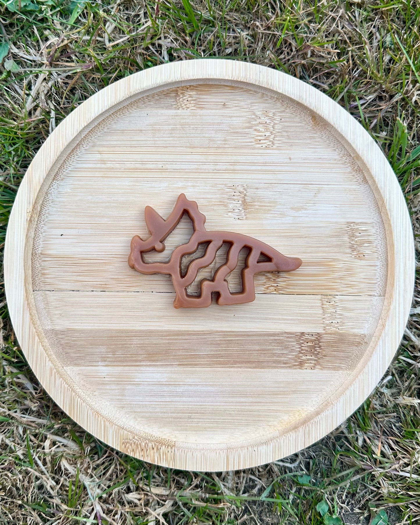 Dental Dino | Chicken