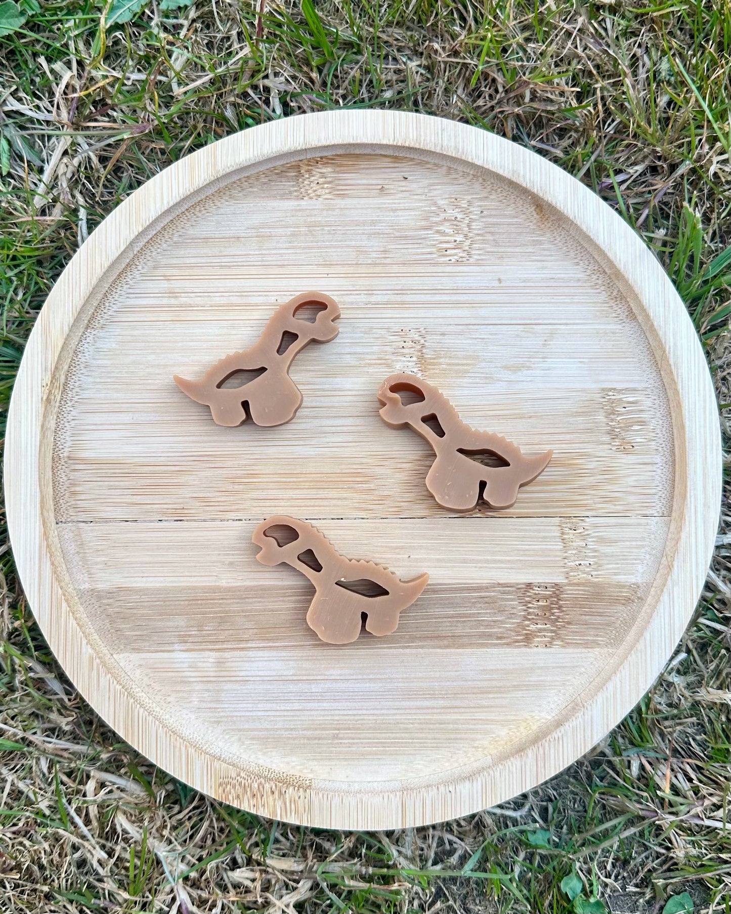 Diddy Dental Dinos | Chicken & Peanut Butter