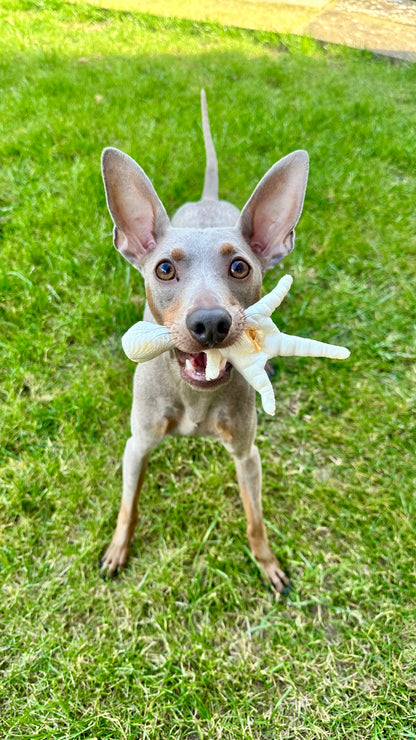 PUFFED CHICKEN FOOT