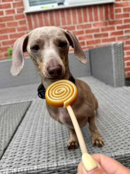 SWIRLY POPS | 4 COLOURS