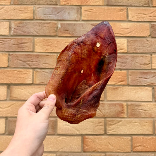 XL Pig Ear