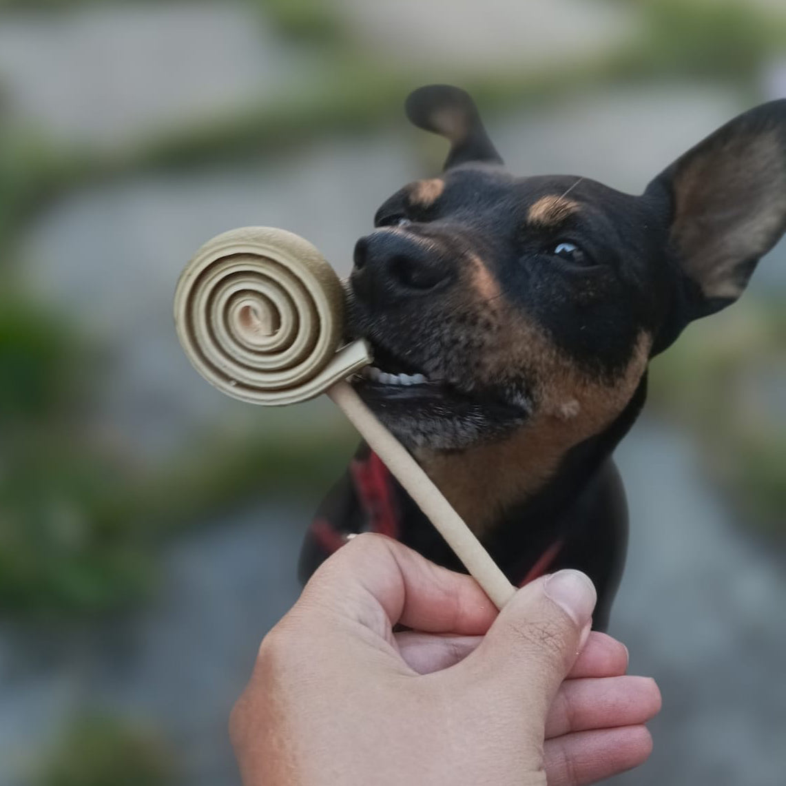 SWIRLY POPS | RANDOMLY SELECTED