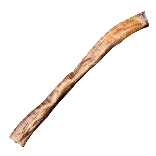 Ostrich Trachea