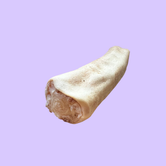 Beef Tail | Jumbo