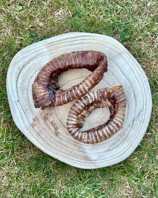 Beef Trachea | Rings