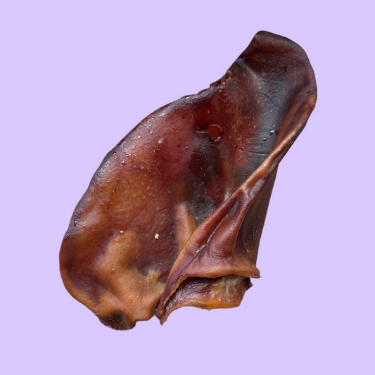 Pig Ears | XL