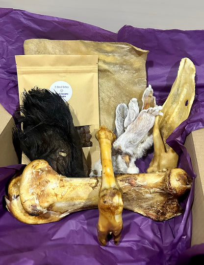 DAX'S MYSTERY BOX