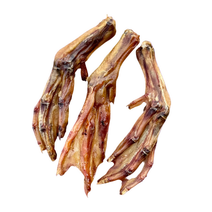 DUCK FOOT