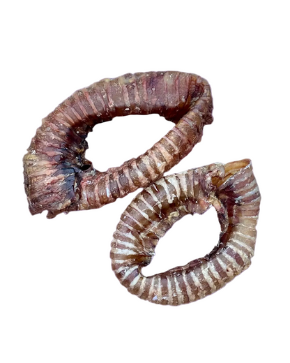 BEEF TRACHEA RING