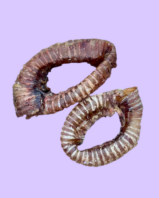 Beef Trachea | Ring