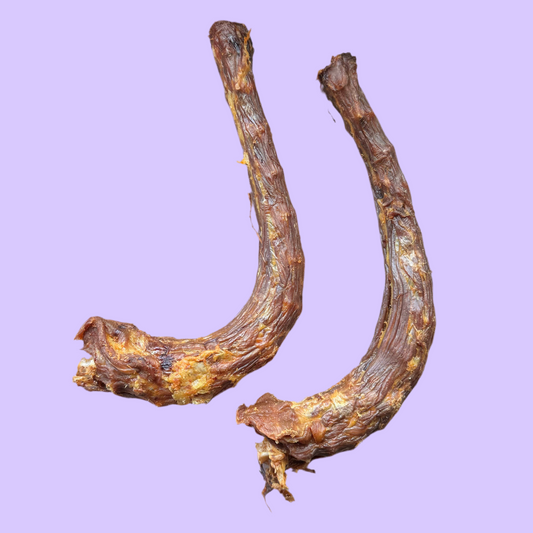 Turkey Neck