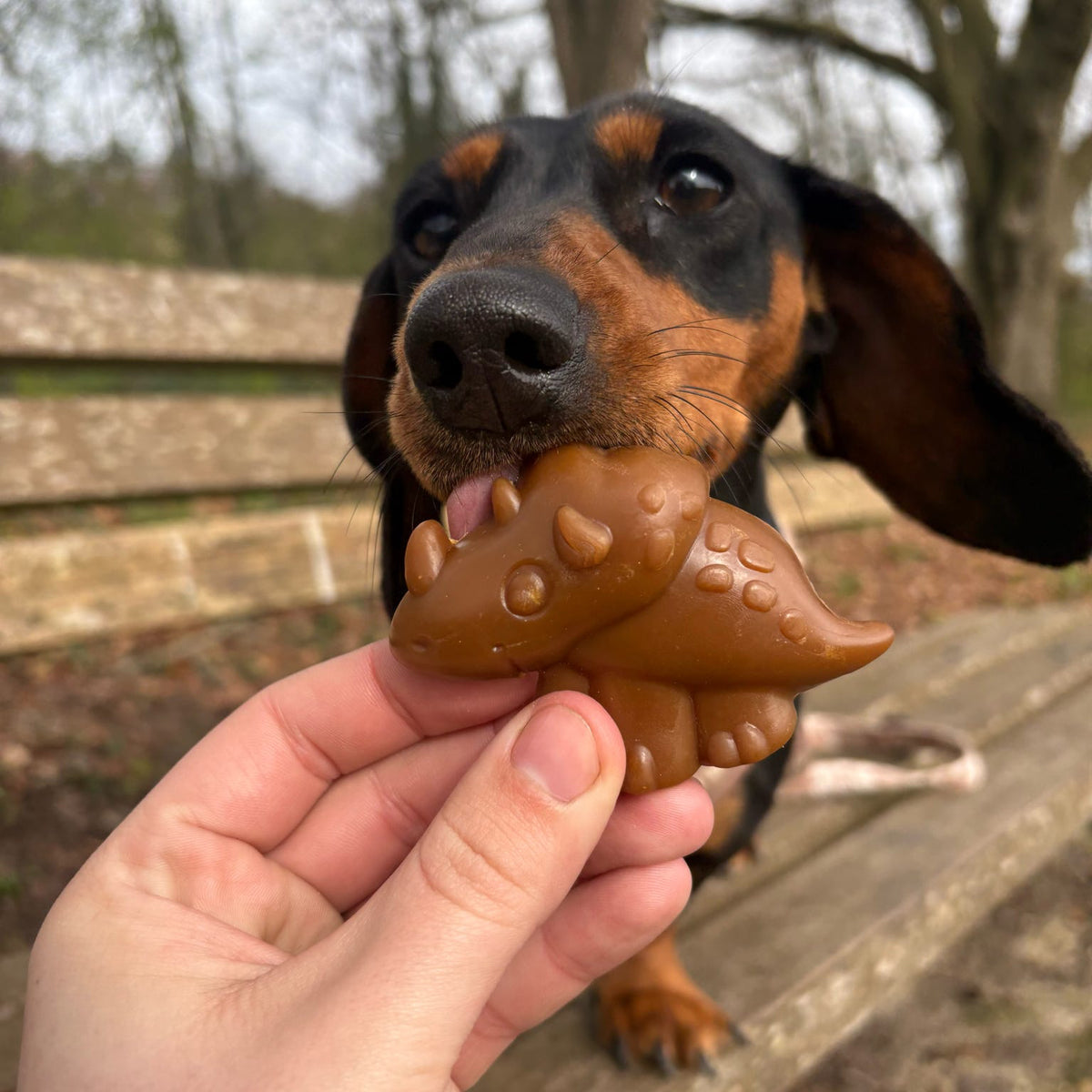 VEGGIE DINO DENTAL CHEW