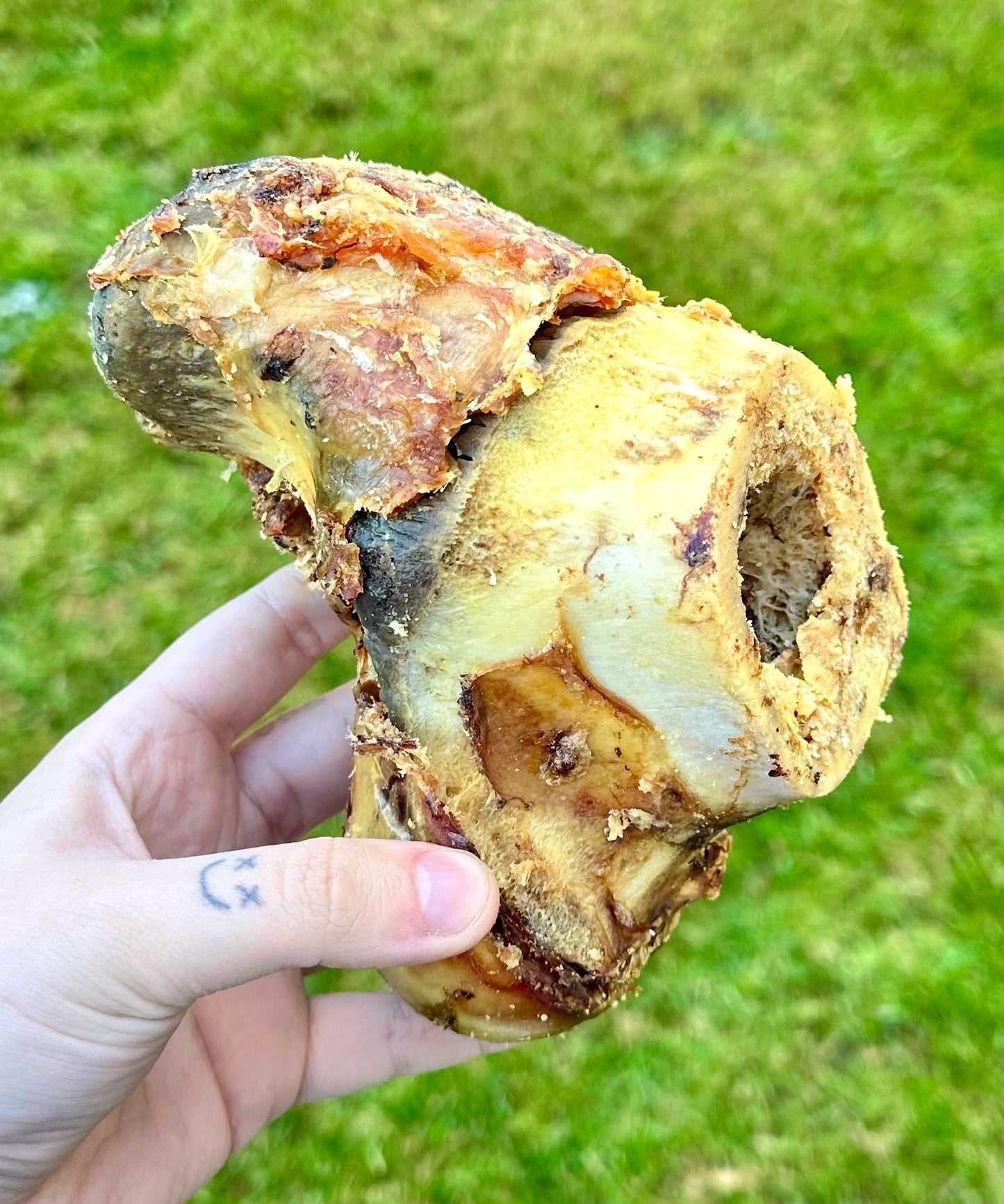 Jumbo Beef Bone Knuckle