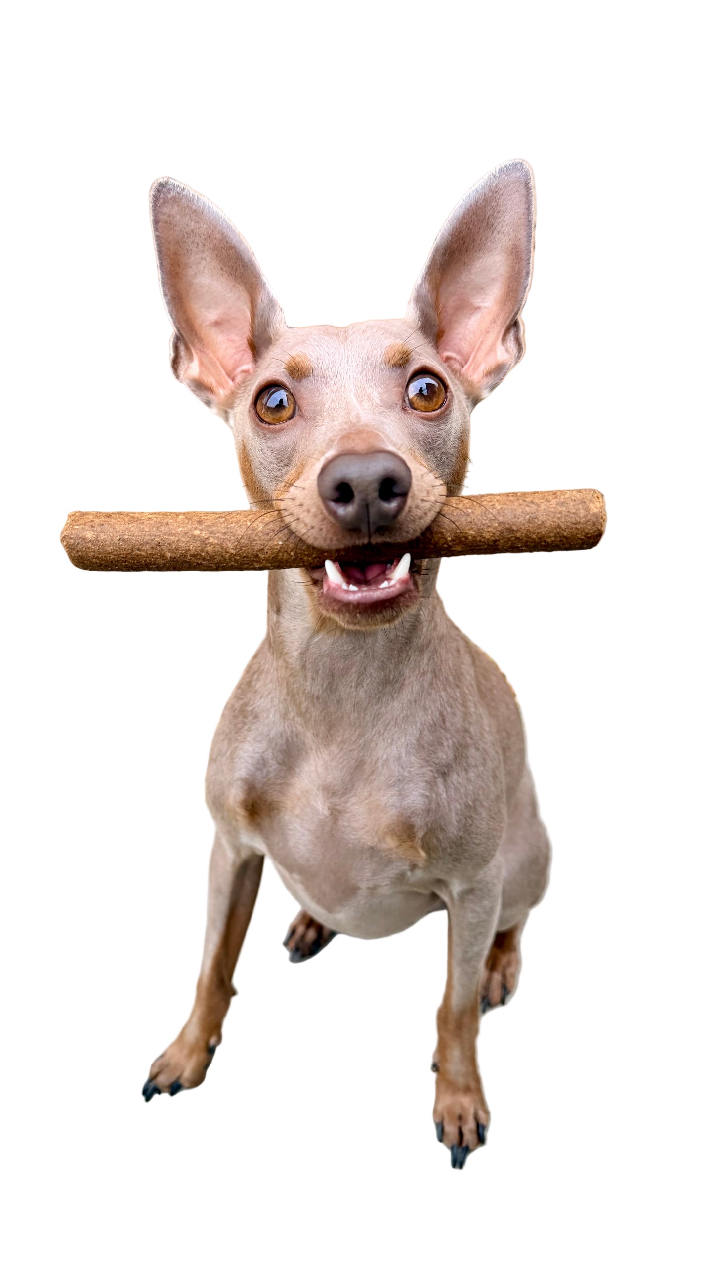 Cold Pressed Ostrich Infused Beef Roll