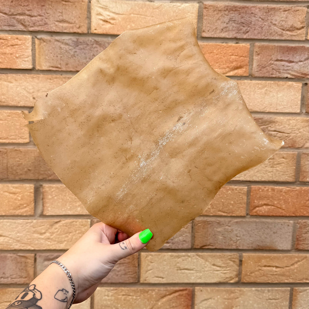 LAMB SKIN PLATE