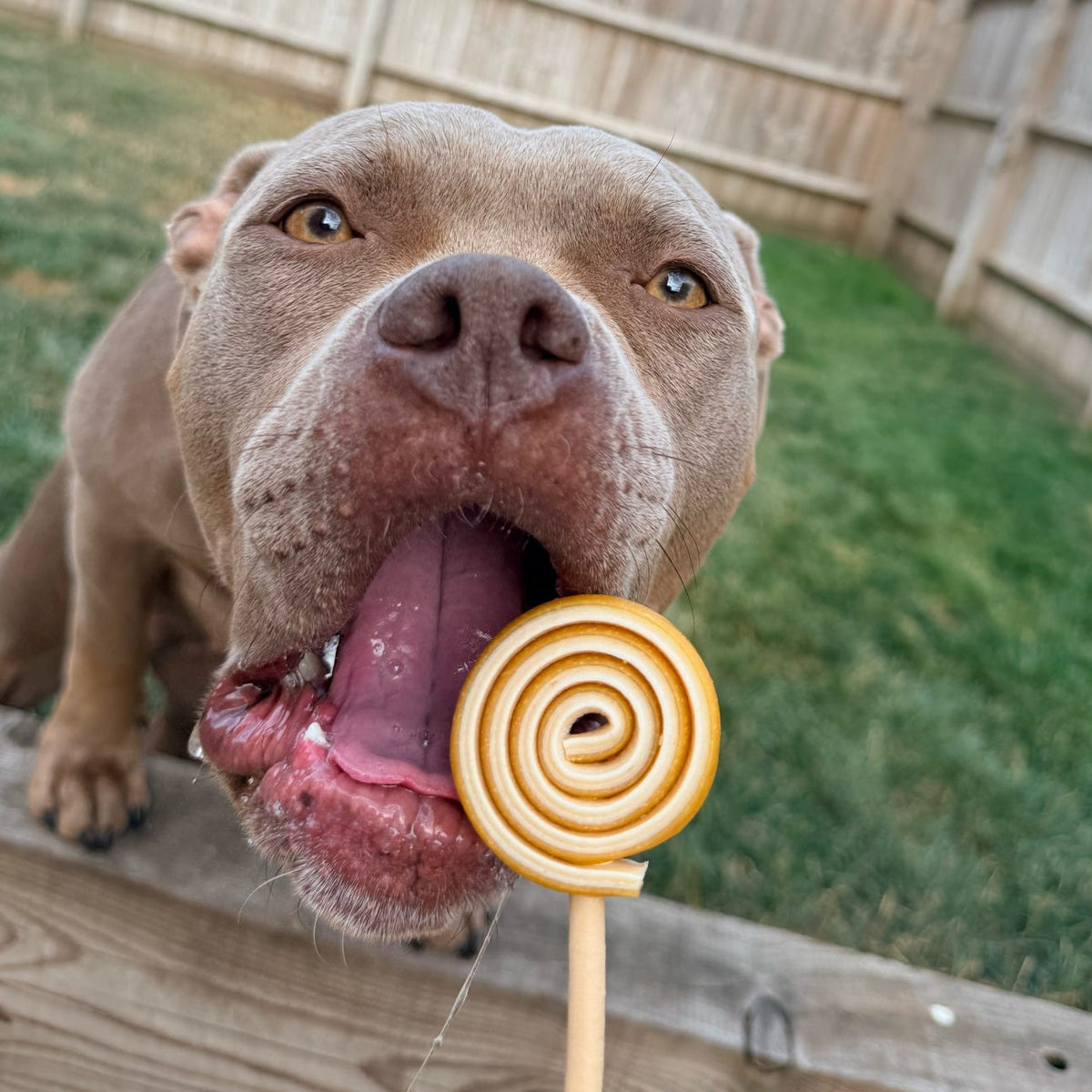 SWIRLY POPS | RANDOMLY SELECTED