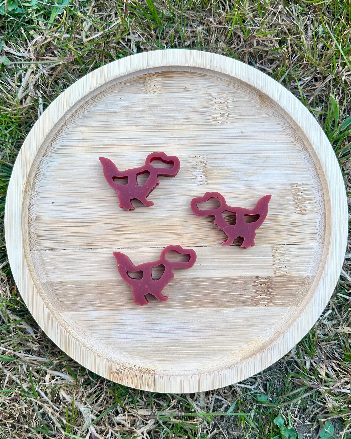 Diddy Dental Dinos | Chicken & Cranberry