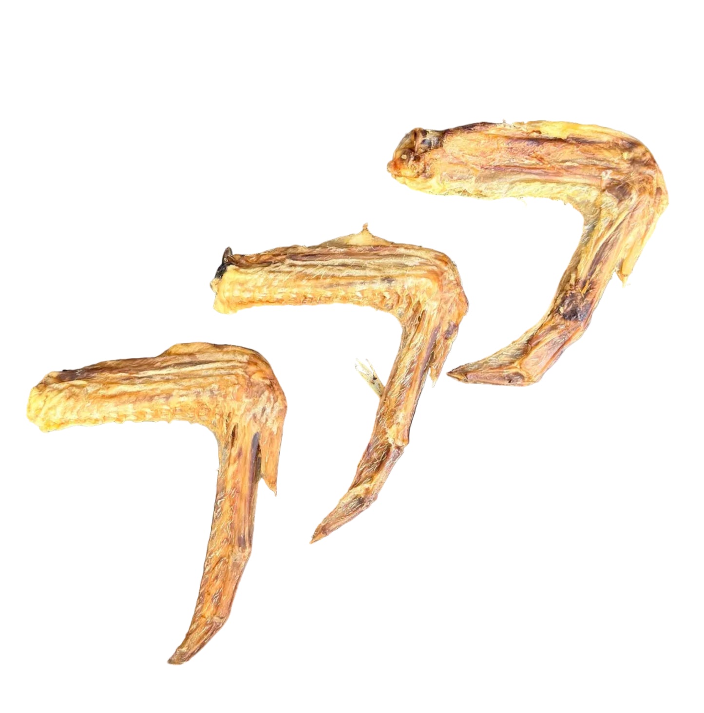 DUCK WING