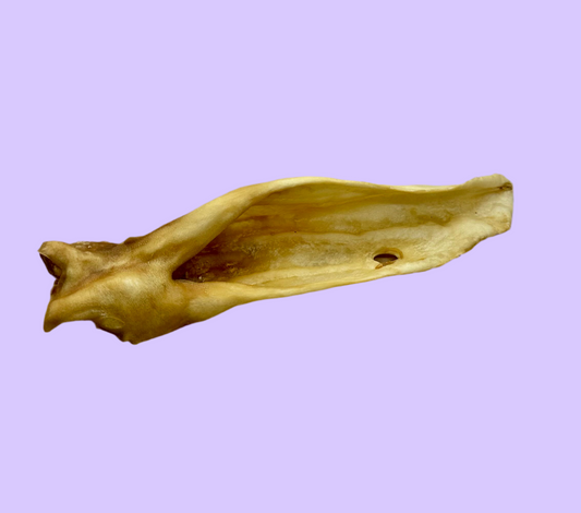 Goat Ear | Naked