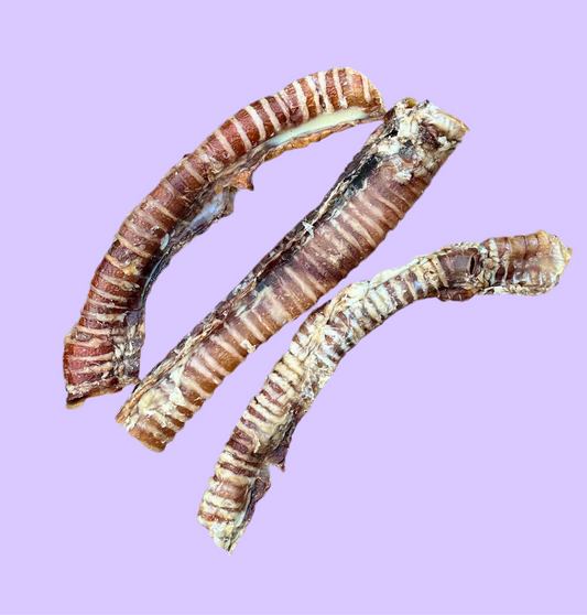 Beef Trachea | Long | 30cm