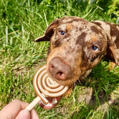 SWIRLY POPS | 4 COLOURS