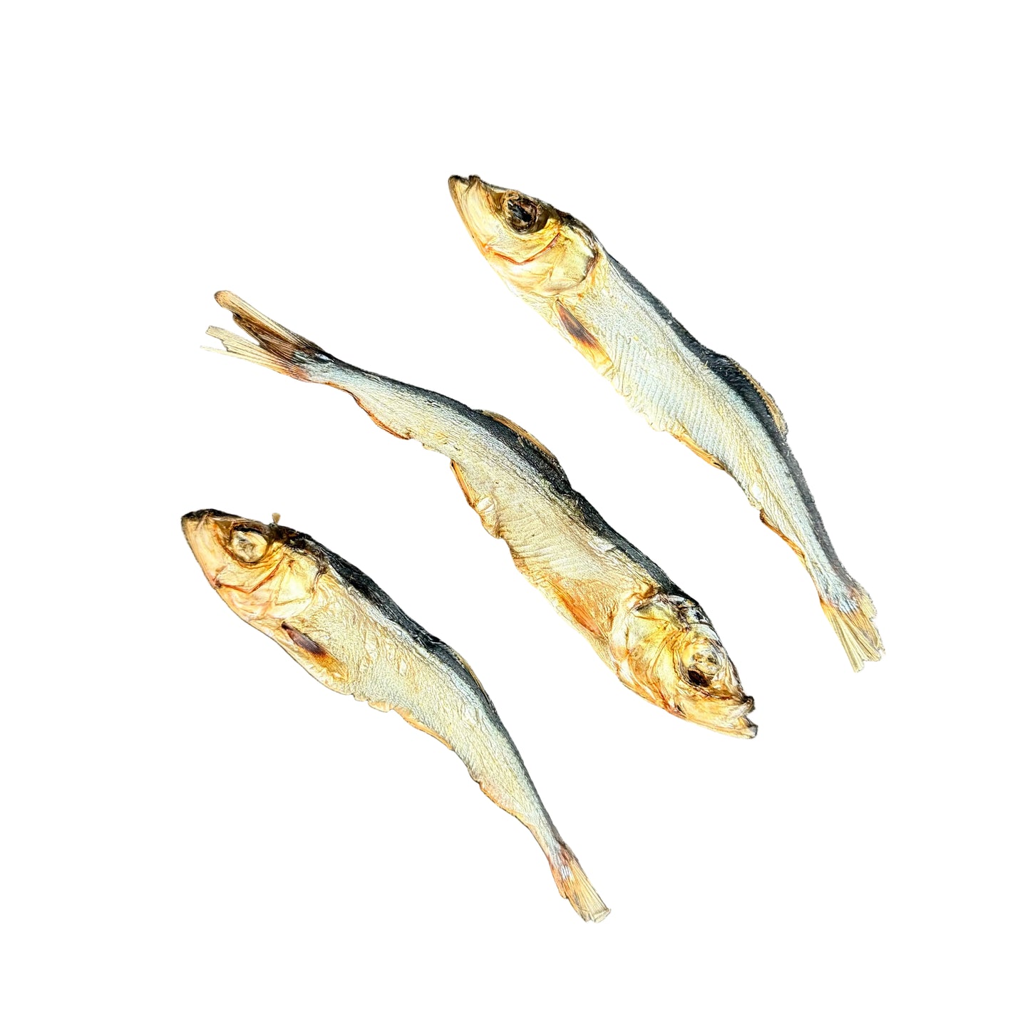 LARGE SPRAT