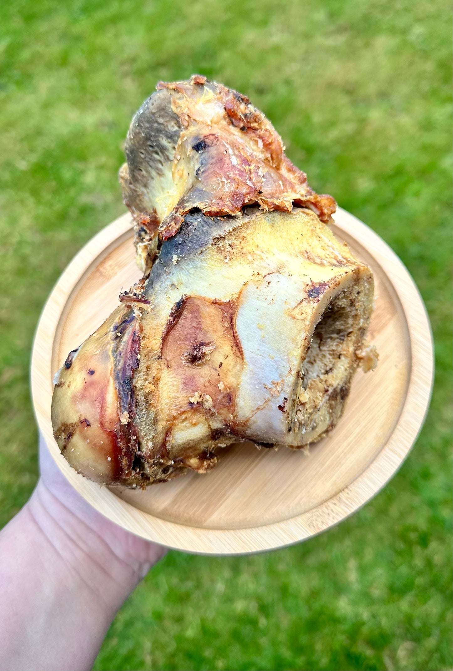 Jumbo Beef Bone Knuckle