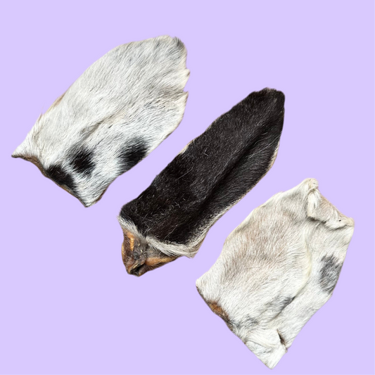 Goat Ear | Hairy