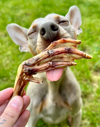 DUCK FOOT
