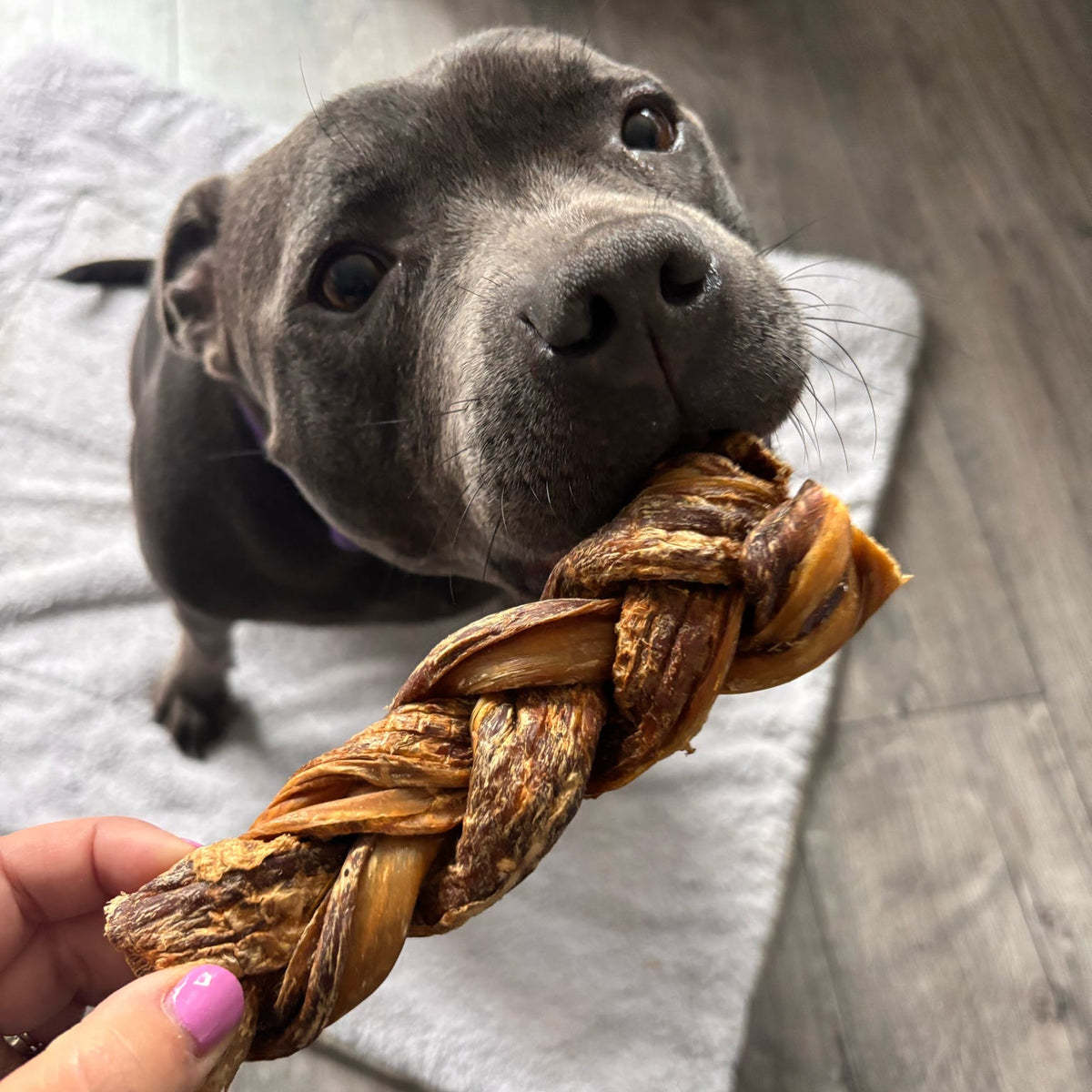 BEEF BRAIDED GULLET