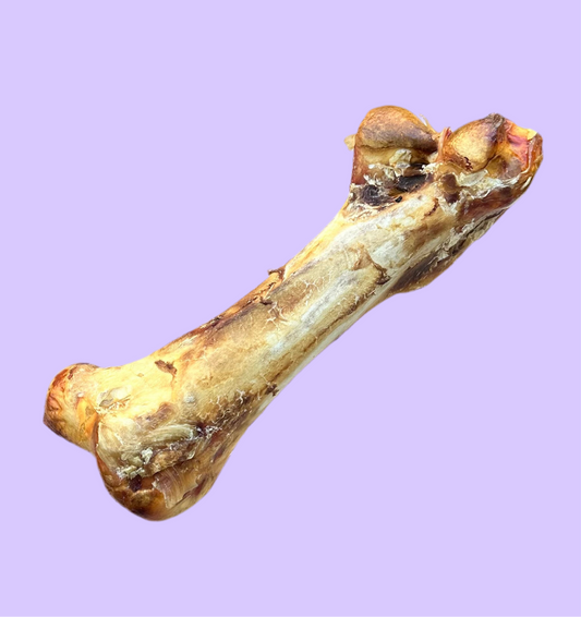 Ostrich Bone | Large