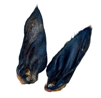 HAIRY COW EAR
