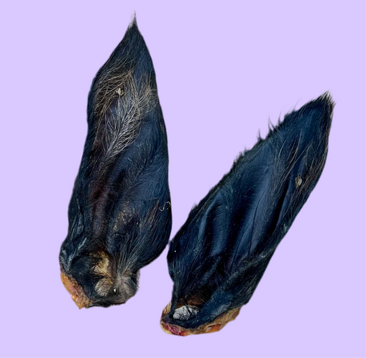 Cow Ear | Hairy