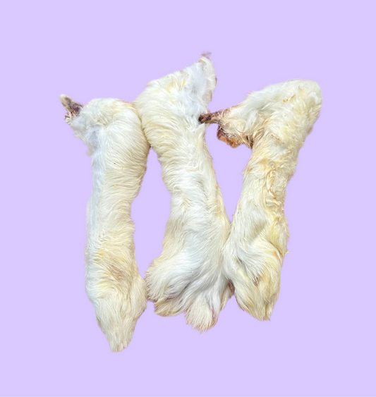 Bunny Feet | Fluffy