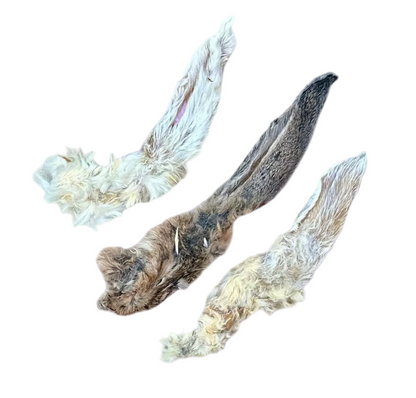 HAIRY RABBIT EAR
