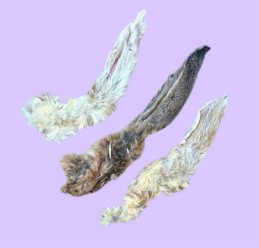 Bunny Ear | Fluffy