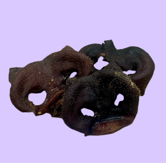 Pig Snouts | Natural